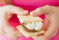 Reese’s S’mores Recipe: Homemade Chocolate Peanut Butter S’mores