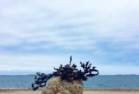 Recent Favorites: What I’m Loving Right Now