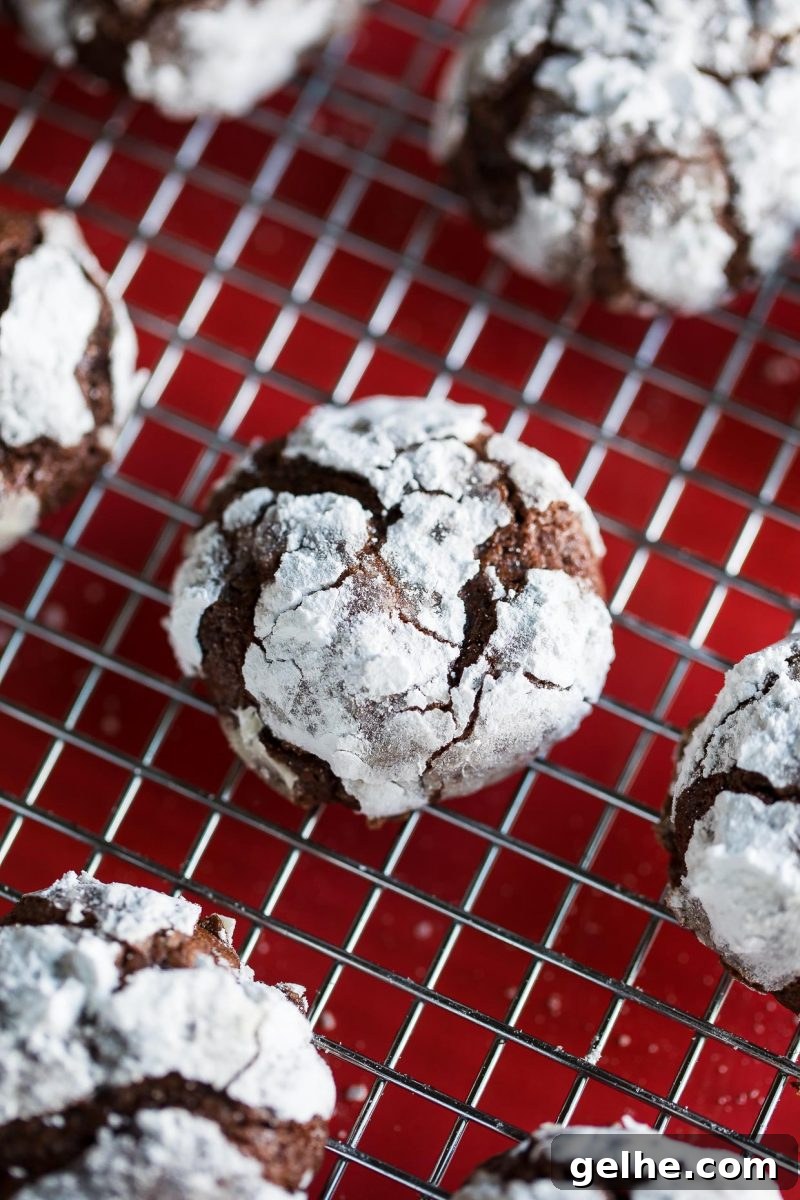 chocolate cookies topped with powdered sugar cooling on wire rack