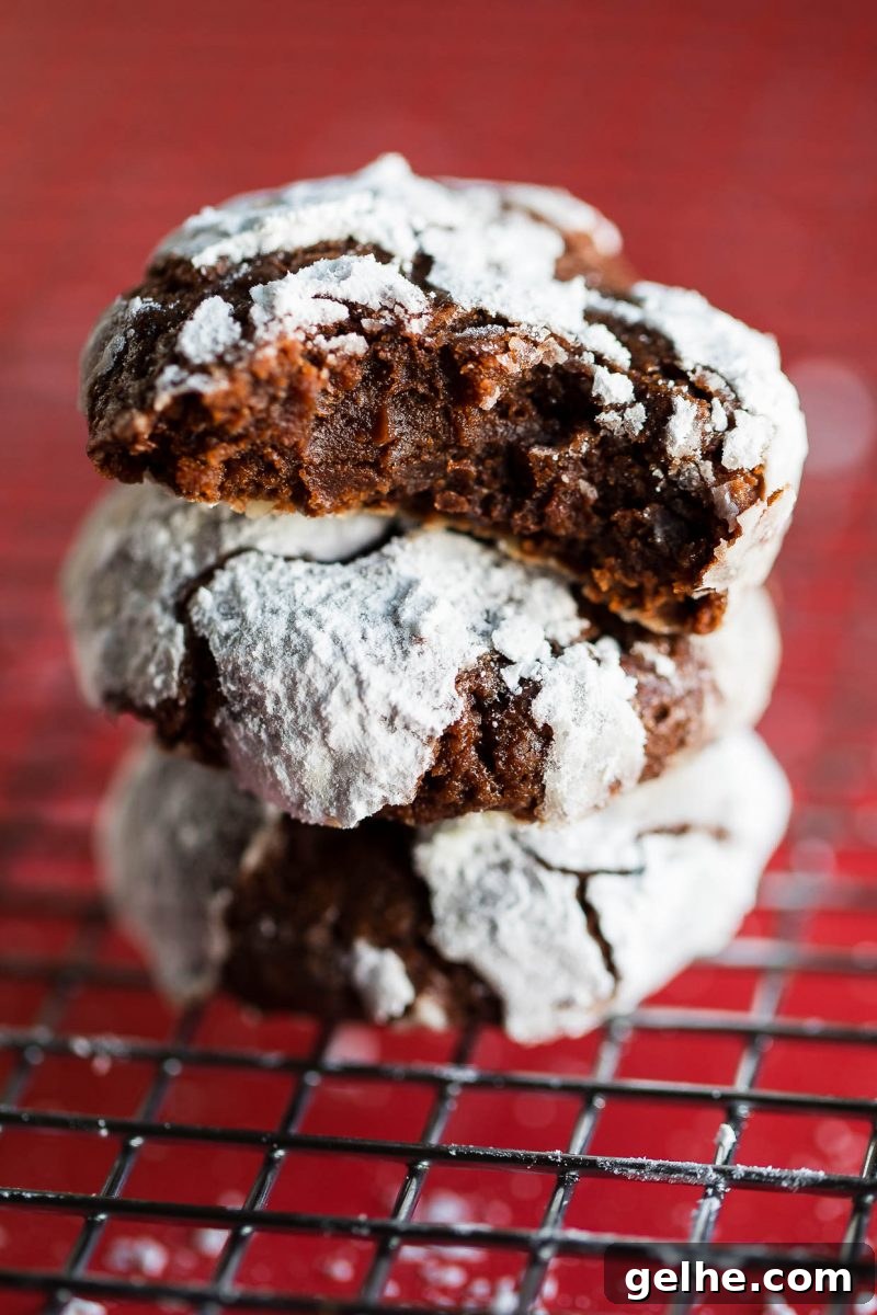 Chocolate Brownie Crinkle Cookies