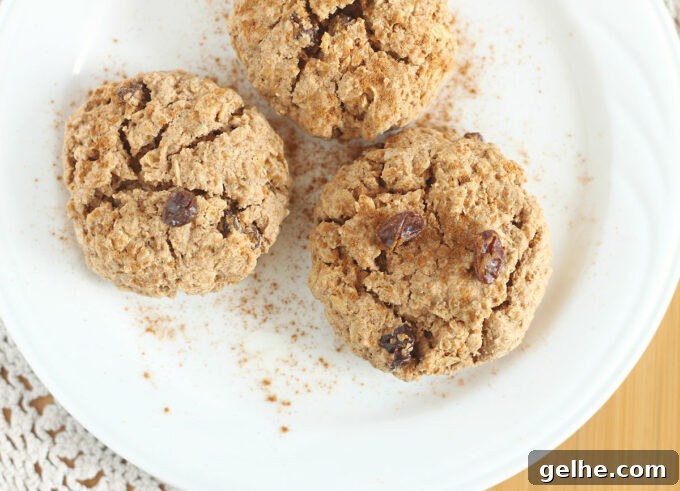 Top down view of a plate of three cookies sprinkled with cinnamon.