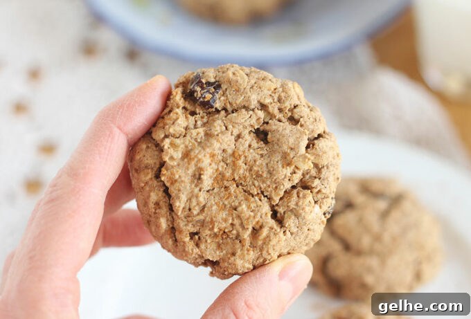 Hand holding an oatmeal raisin cookie.