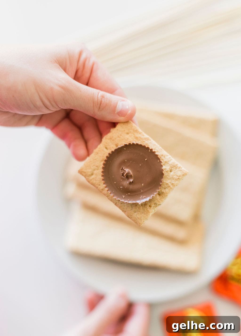 Reese’s S’mores Recipe: Homemade Chocolate Peanut Butter S’mores 5 img 108394 4