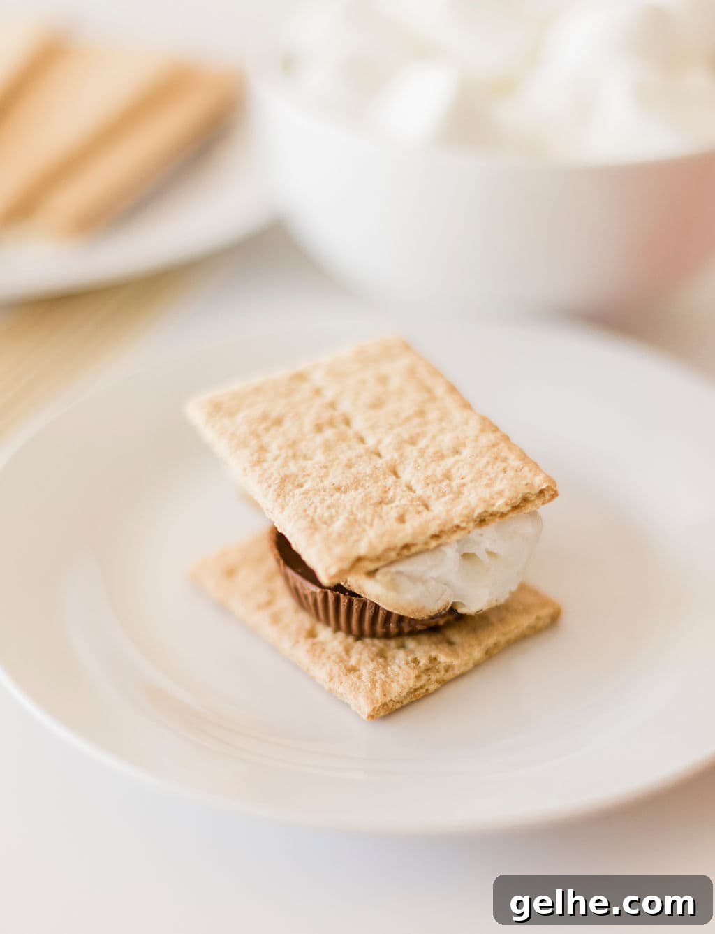 Reese’s S’mores Recipe: Homemade Chocolate Peanut Butter S’mores 8 img 108394 7