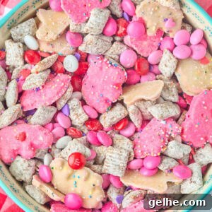 close up view of finished muddy buddy mix.