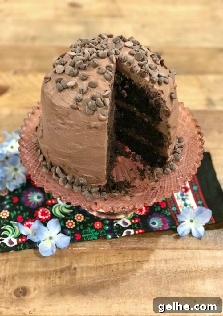 Decadent Vegan Chocolate Mousse Cake Recipe 4 Ingredients for vegan chocolate mousse frosting