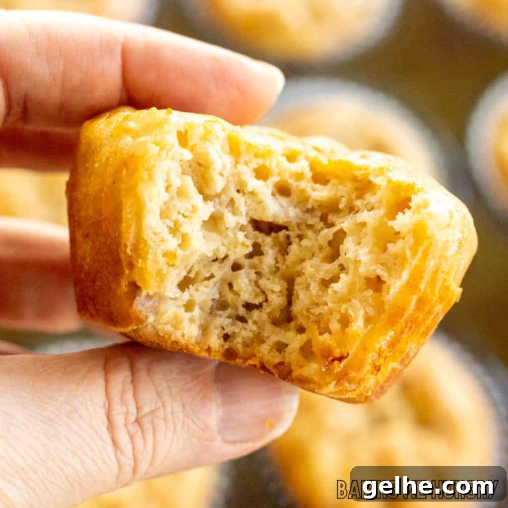 Banana and Cottage Cheese Muffins with Moist Texture 2 hand holding one of the banana cottage cheese muffins missing a bite