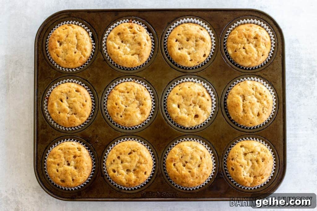 Banana and Cottage Cheese Muffins with Moist Texture 9 baked muffins in pan