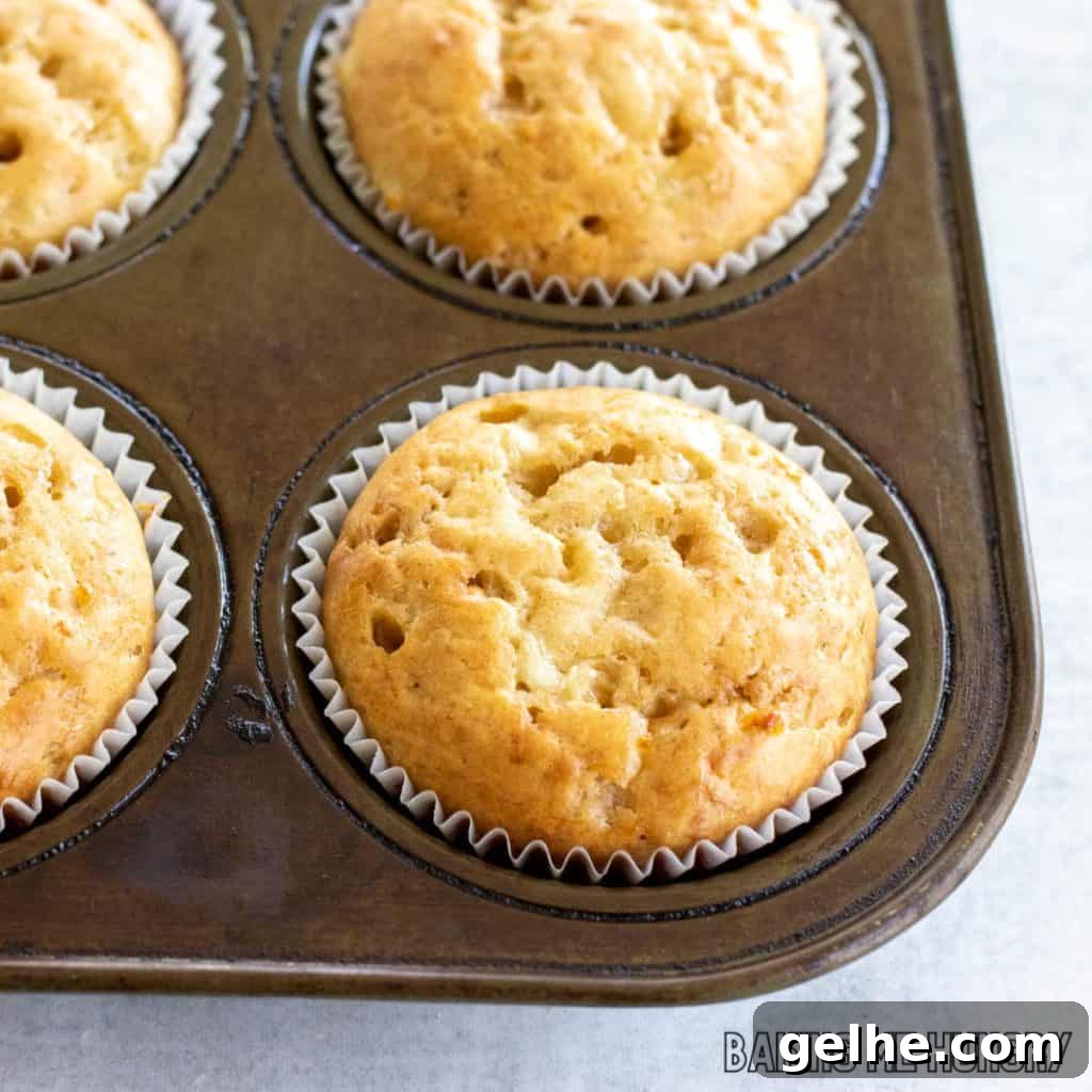 Banana and Cottage Cheese Muffins with Moist Texture 10 banana cottage cheese muffins recipe close up in muffin tin