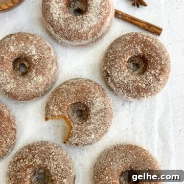 Baked Apple Cider Donuts Recipe | Light Autumn Donut Treat 16 a few baked apple cider donuts with a bite missing from one.