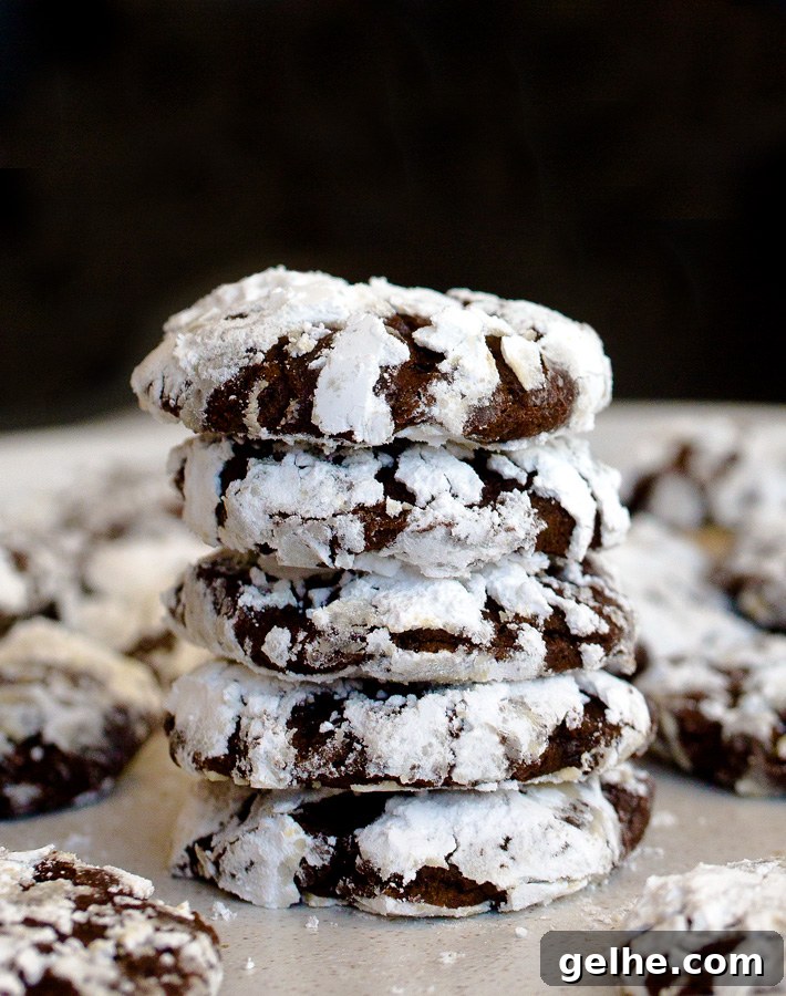 Chocolate Crinkle Cookies Chocolate Crinkle Cookies