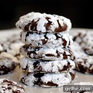 Chewy Chocolate Crinkle Cookie Recipe for Perfect Holiday Cookies 3 Chocolate Crinkle Cookie Recipe