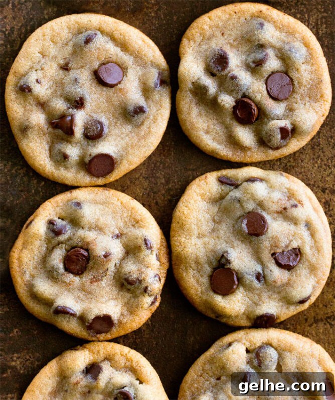 Chewy Chocolate Crinkle Cookie Recipe for Perfect Holiday Cookies 4 Vegan Chocolate Chip Cookies