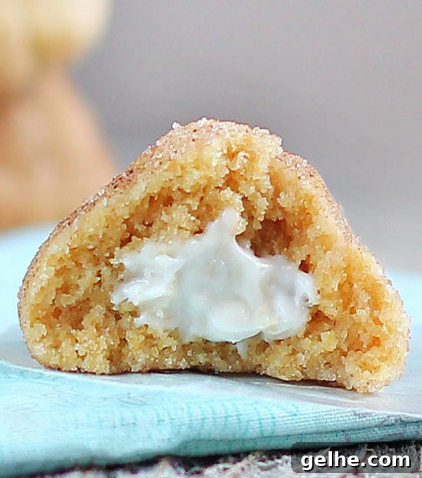 Chewy Chocolate Crinkle Cookie Recipe for Perfect Holiday Cookies 5 img 1315 13