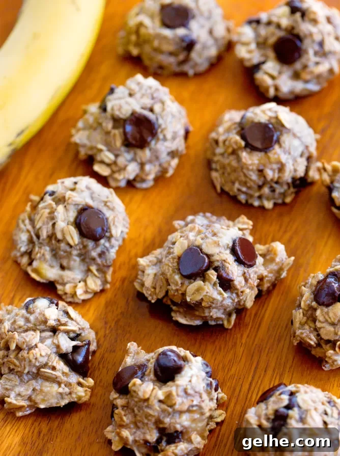 Chewy Chocolate Crinkle Cookie Recipe for Perfect Holiday Cookies 8 Banana Oatmeal Cookies