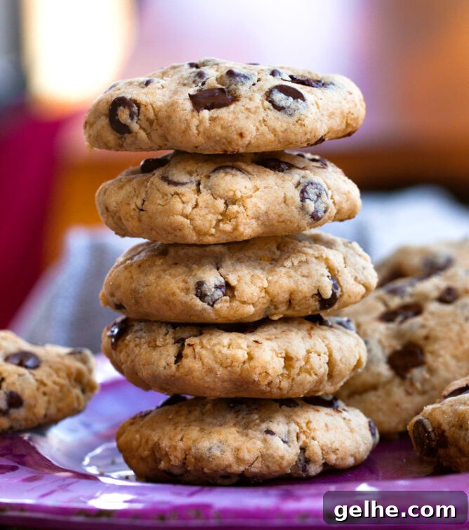 Chewy Chocolate Crinkle Cookie Recipe for Perfect Holiday Cookies 9 img 1315 17
