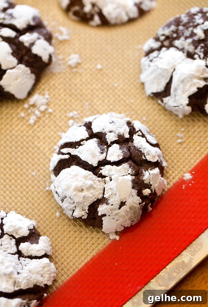 Chocolate Brownie Crinkle Cookies Chocolate Brownie Crinkle Cookies