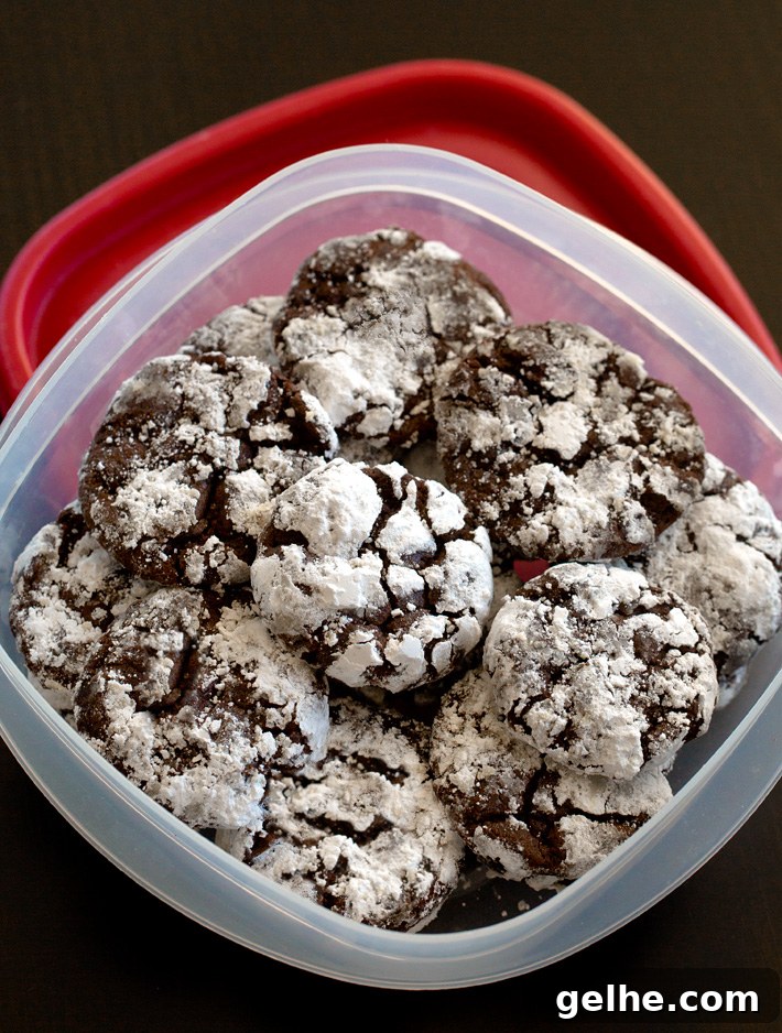 Store Leftover Cookies in a Plastic Container Store Leftover Cookies in a Plastic Container