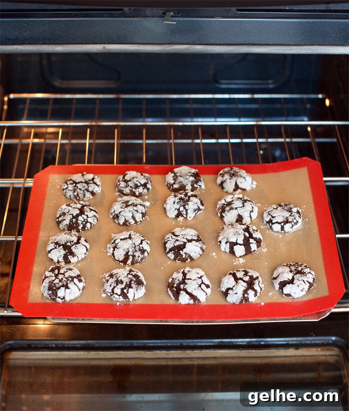 Baking Holiday Cookies In Oven Baking Holiday Cookies In Oven