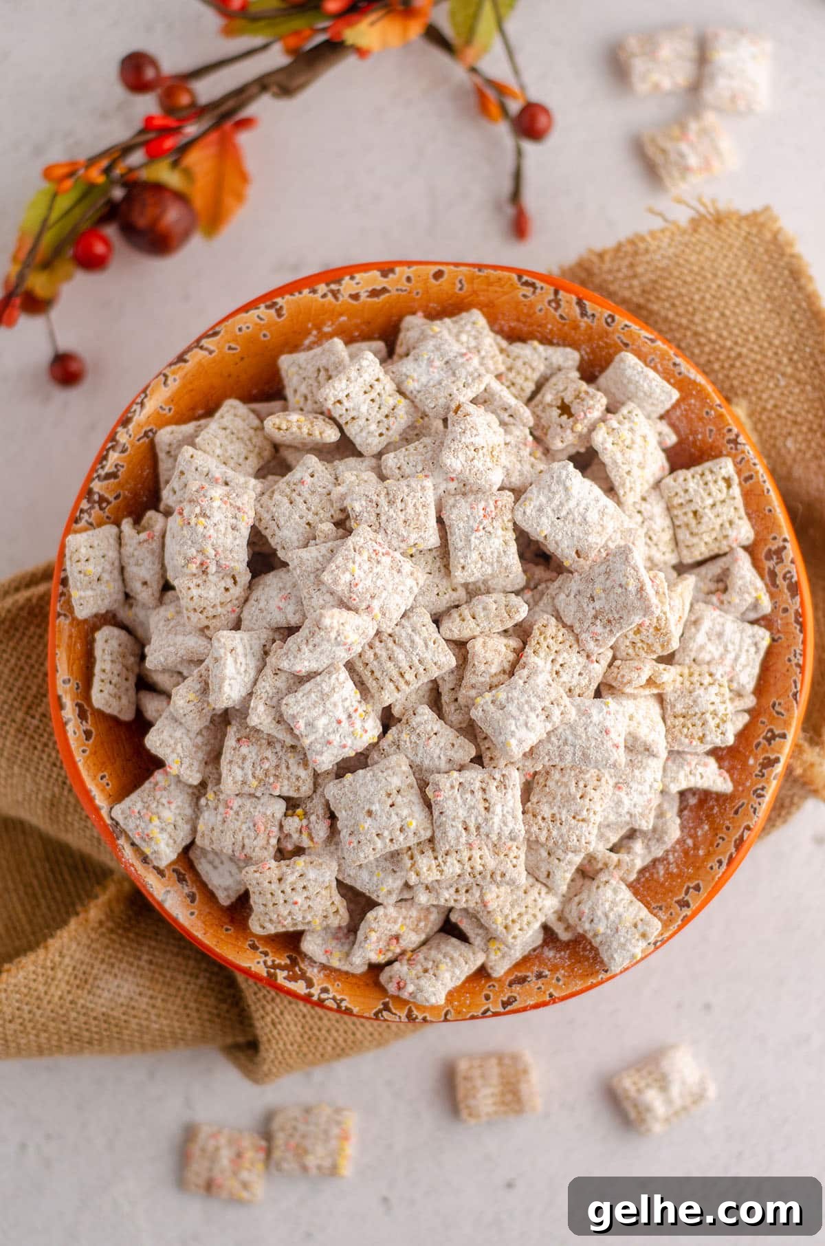 aerial photo of pumpkin spice puppy chow sitting in an orange bowl