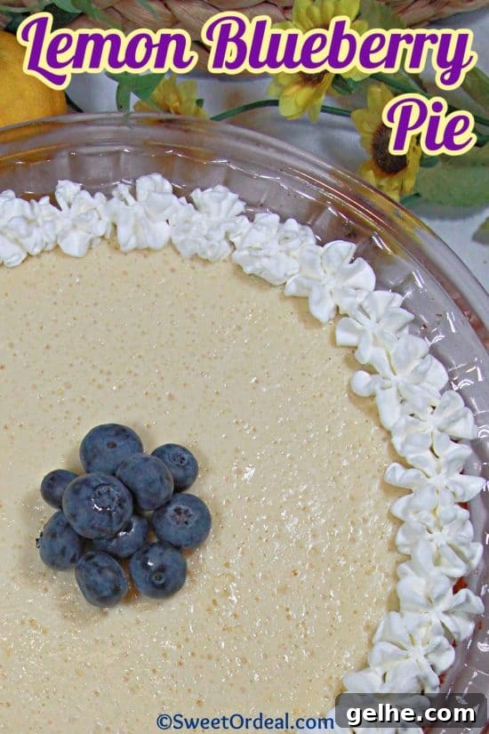 A light and fluffy layer flavored with lemons and cream cheese over blueberries and a buttery graham cracker crust.