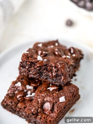 Two chocolate cookie bars topped with chocolate chips on a white plate.
