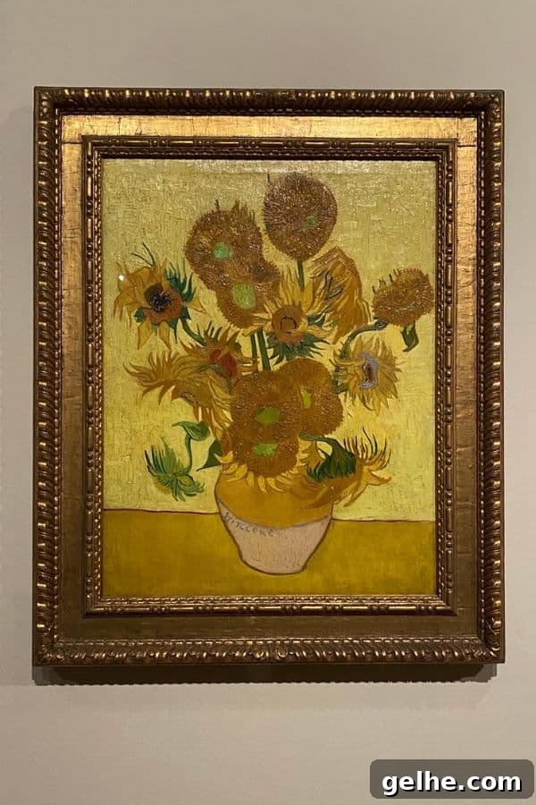 Sunflowers, Van Gogh Museum