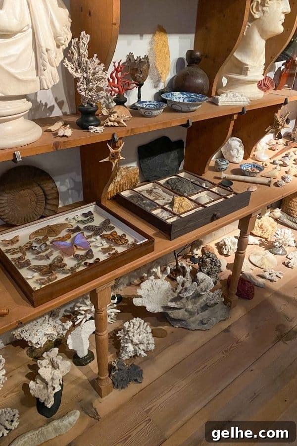 Cabinet of curiosities at the Rembrandt House