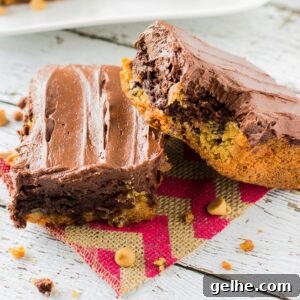 Peanut Butter Cookie Brownies