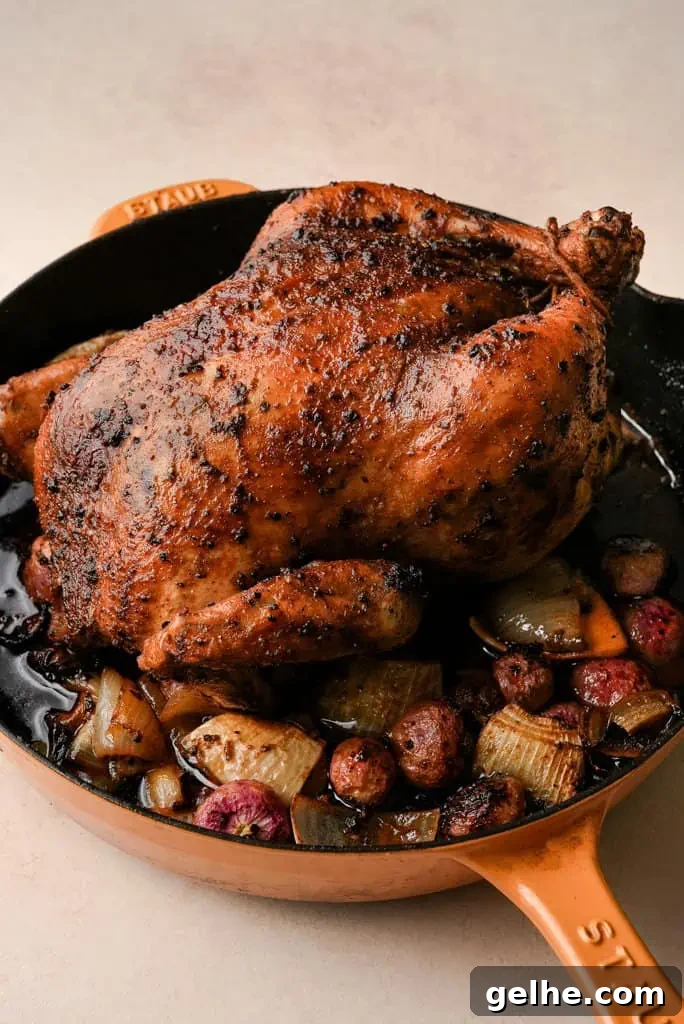 a skillet containing a whole roasted chicken surrounded by veggies