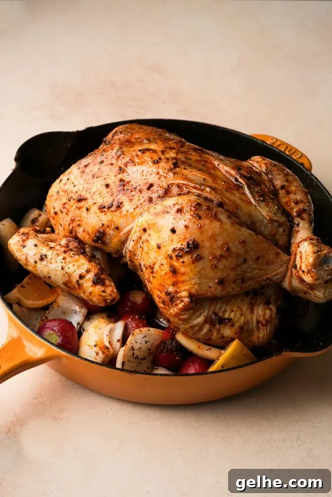 a seasoned whole chicken in pan with veggies, prior to going in the oven