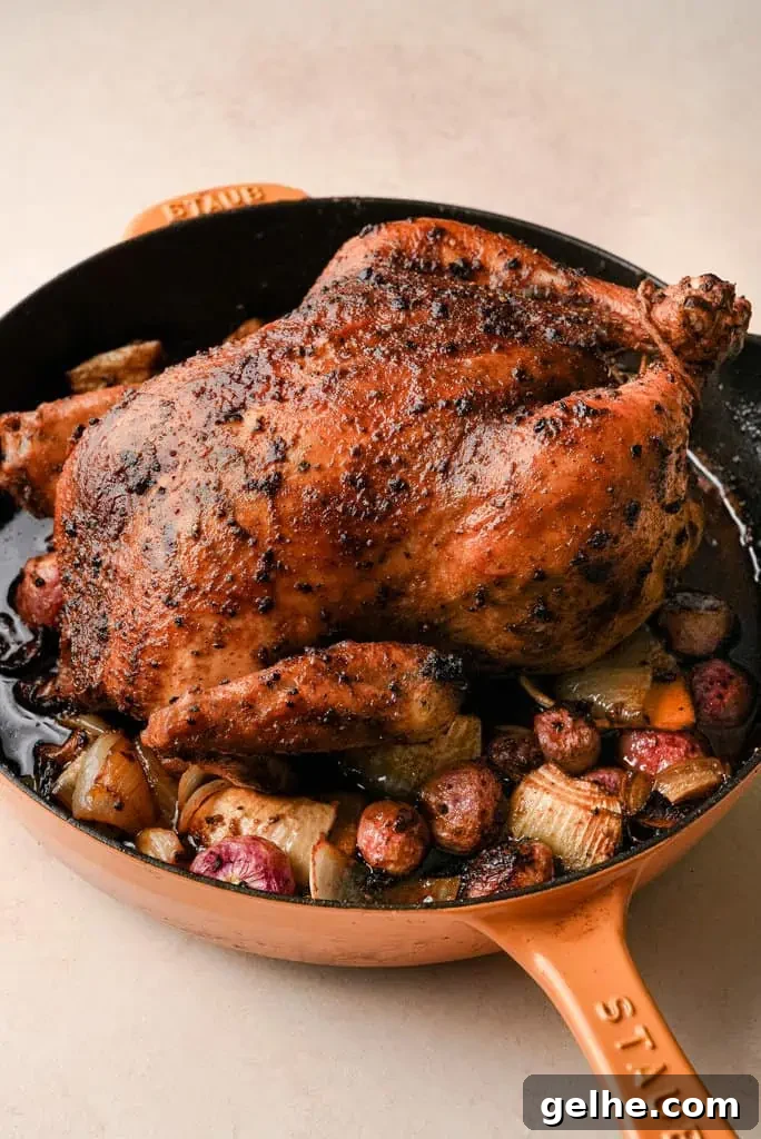 a skillet containing a whole roasted chicken surrounded by veggies