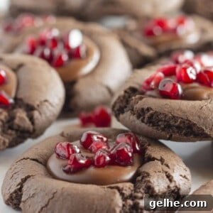 Chocolate cookies with chocolate ganache filling and pomegranate seeds.