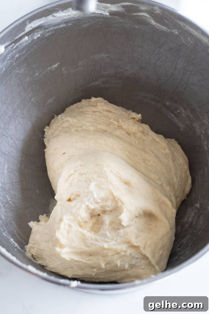 bowl of dough before rising