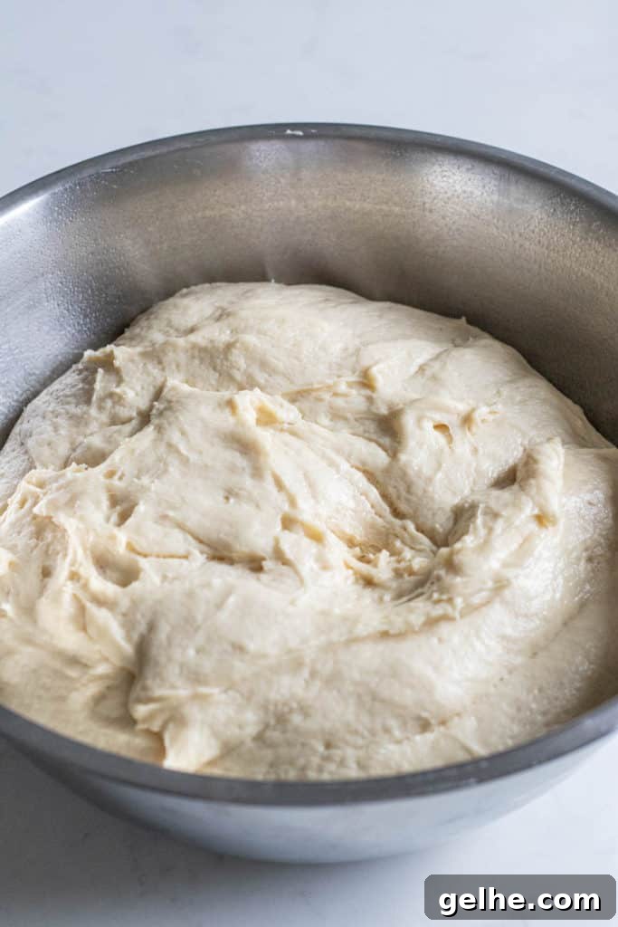 bowl of risen dough