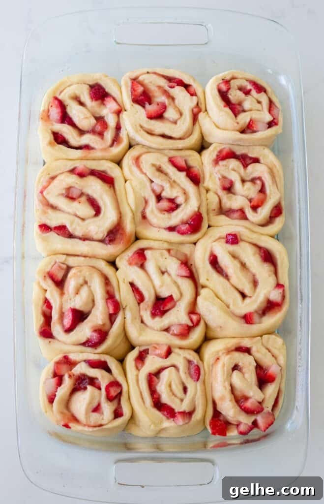 strawberry rolls unbaked in glass baking dish