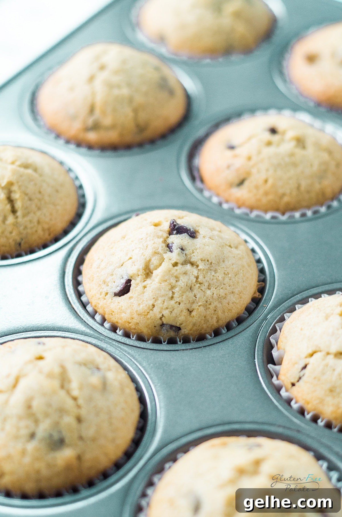 gluten free chocolate chip muffins in a muffin tin