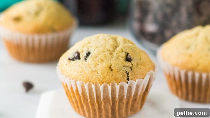 a perfectly domed chocolate chip muffin on a white hexagon pedastal. In the background are two more muffins. Chocolate chips are scattered on the counter