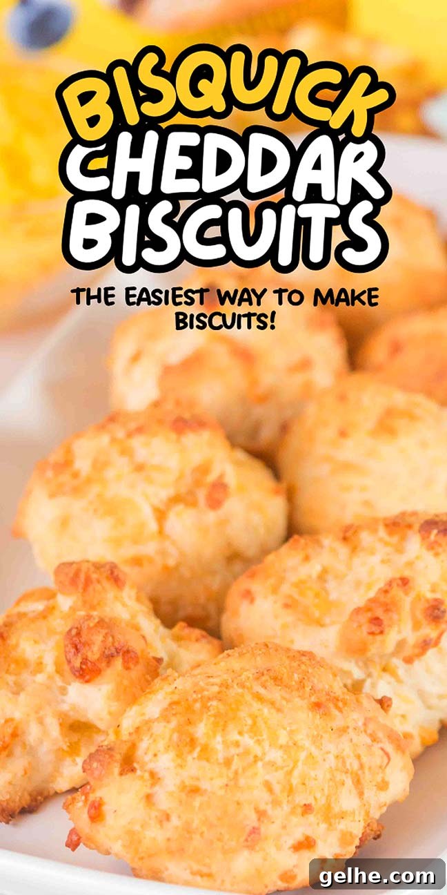 Flaky Cheddar Biscuits Made with Bisquick 20 Close-up of a plate of tasty treats. Text reads: "Bisquick Cheddar Biscuits - The Easiest and Delicious Way to Make Biscuits!".
