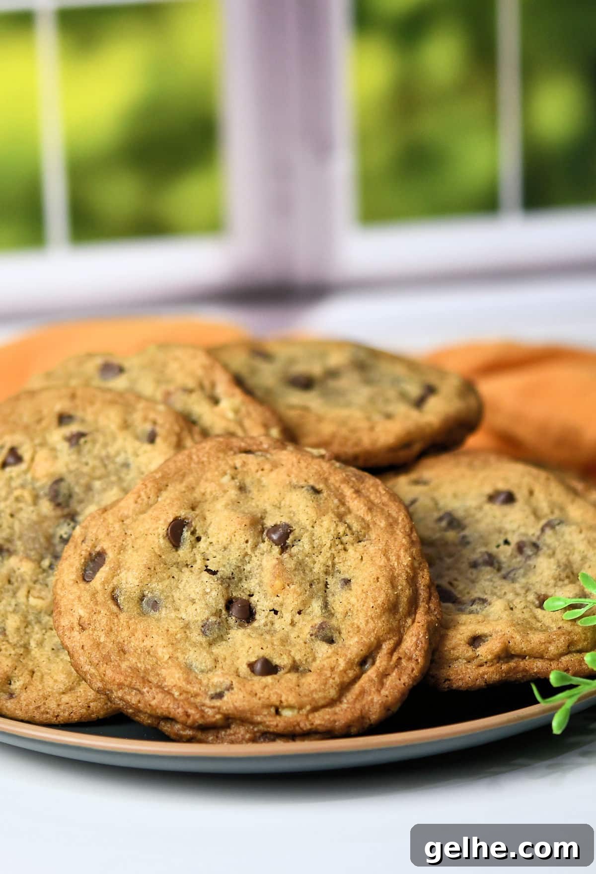Espresso cookies on a plate