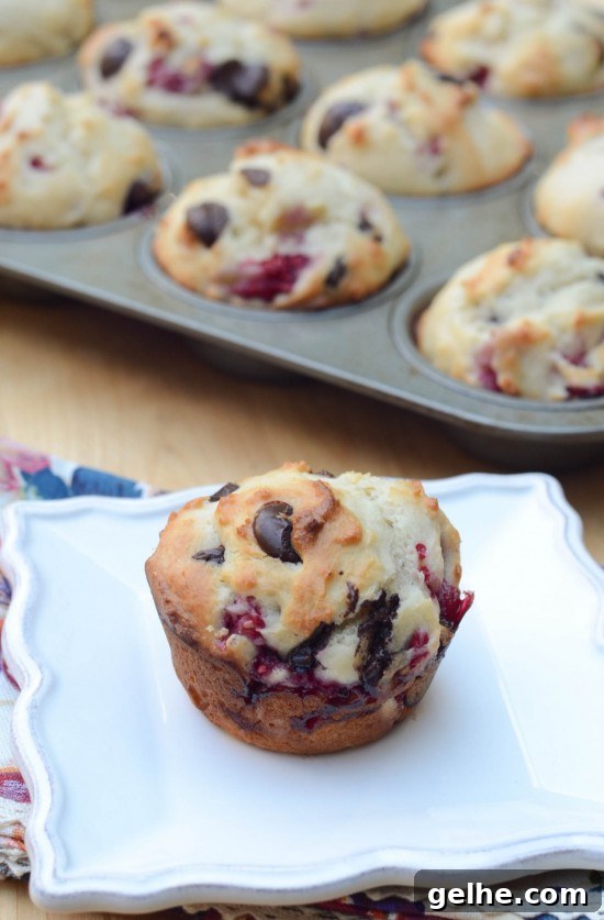 Double Chocolate Zucchini Banana Bread Recipe 10 Raspberry Dark Chocolate Muffins 101 (straight)