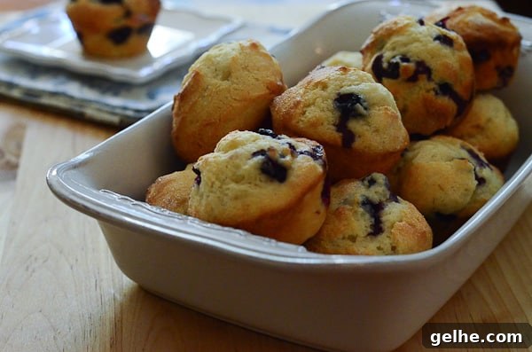 Double Chocolate Zucchini Banana Bread Recipe 8 Spectacular Blueberry Muffins 2013-06-20 107-2