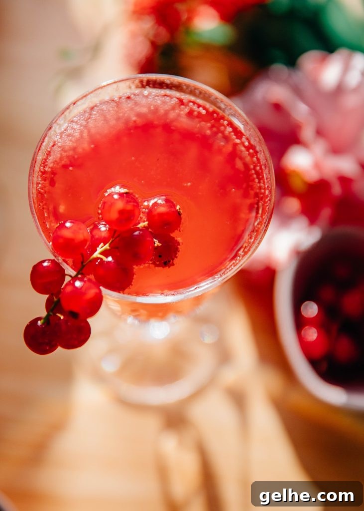 Valentine's Day Lemonade Spritz | Well and Full | #recipe #mocktail
