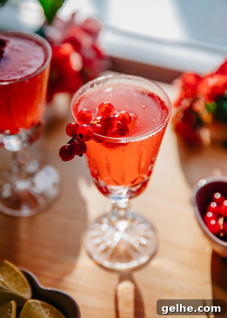 Valentine's Day Lemonade Spritz | Well and Full | #recipe #mocktail