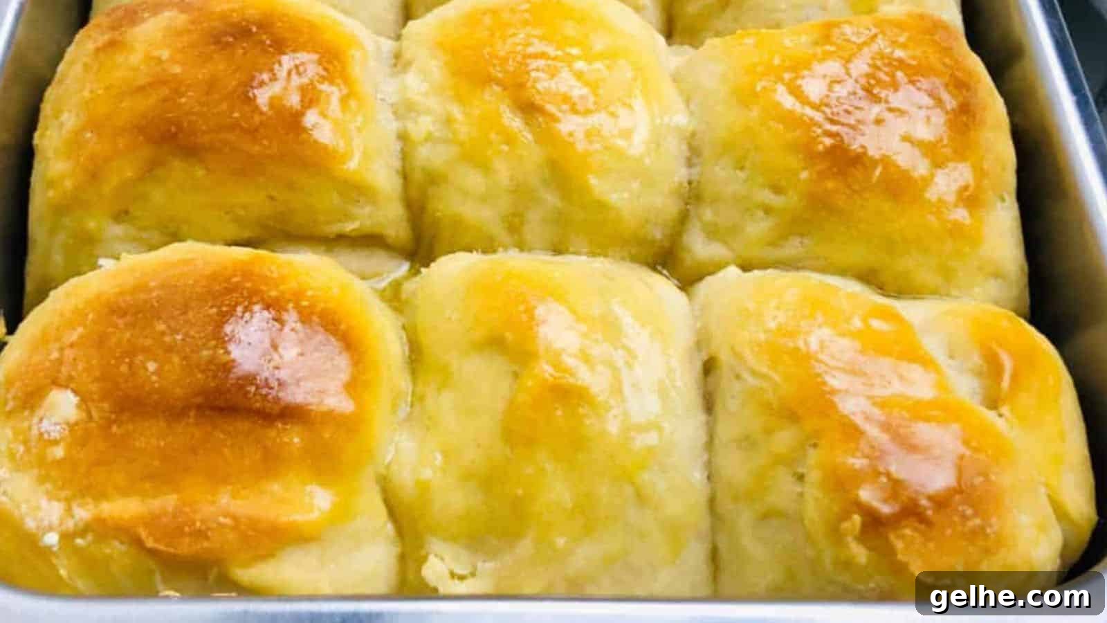 A baking tray filled with nine freshly baked, golden brown, and shiny dinner rolls closely arranged together.