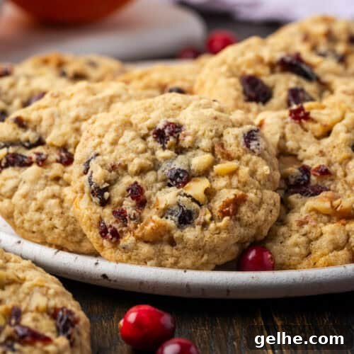 A batch of gluten free cranberry orange oatmeal cookies on a ceramic plate.