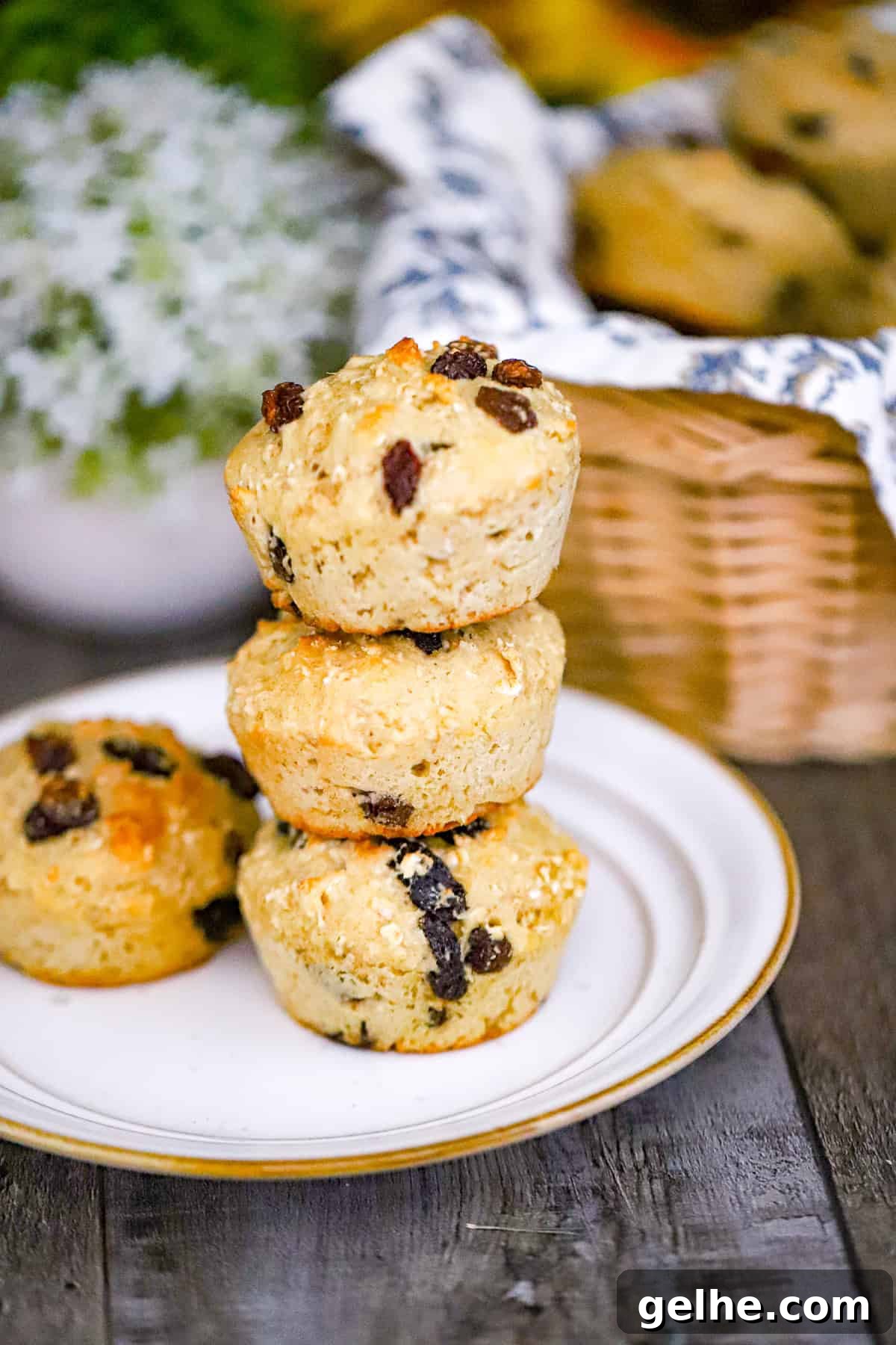 ingredients for oatmeal raisin muffin recipe