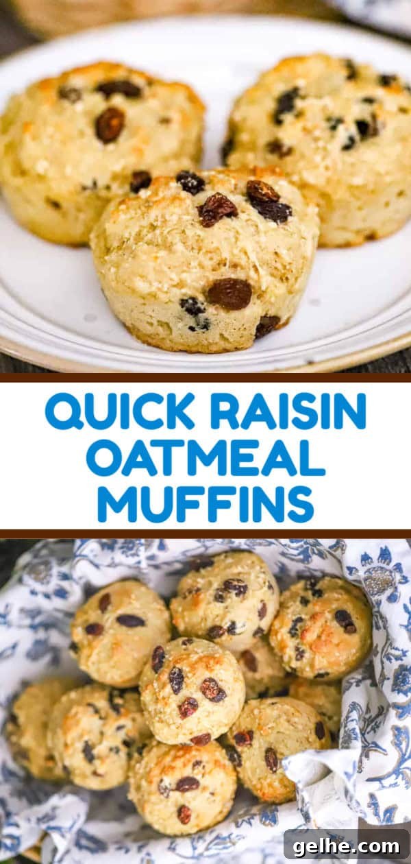 RAISIN OATMEAL MUFFINS 