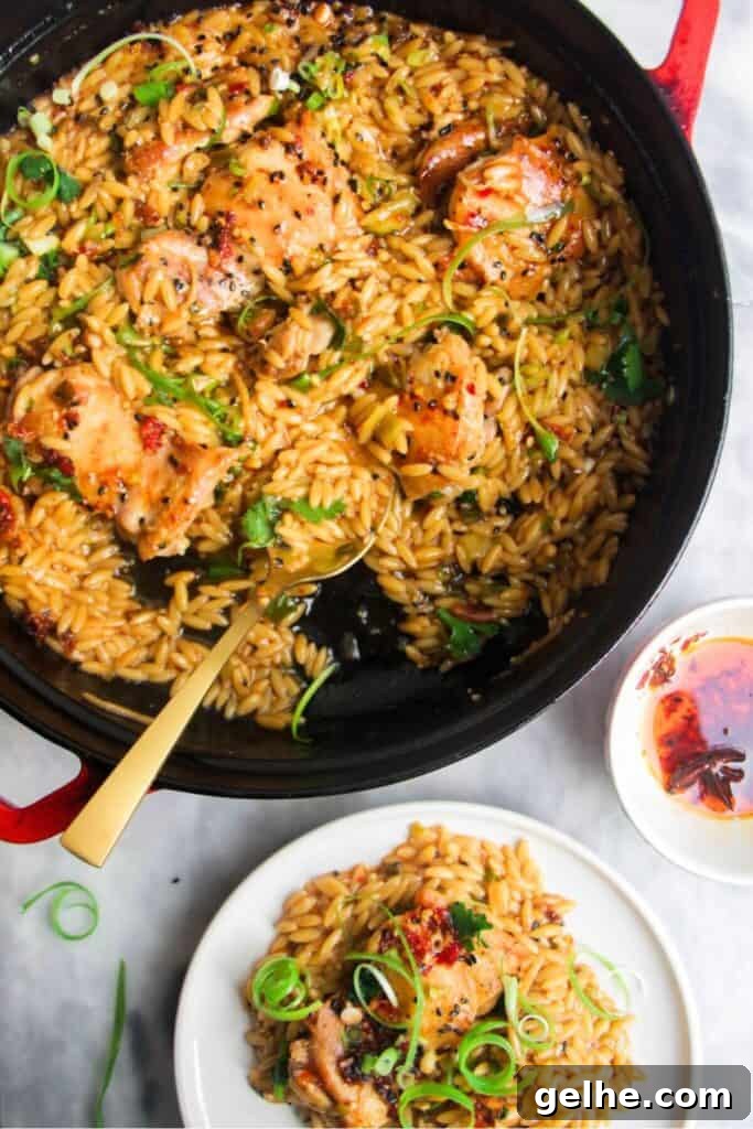 Ginger chicken orzo in a large black skillet, with more chicken orzo in a small plate on the side.