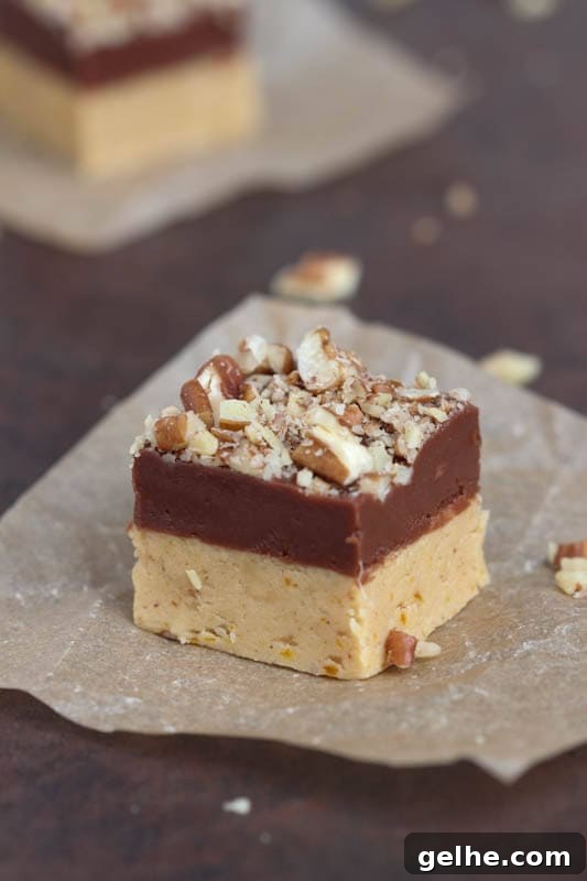Chocolate Pumpkin Fudge with Pecan Crunch Recipe 3 Pumpkin Chocolate Fudge {Spoonful of Flavor}